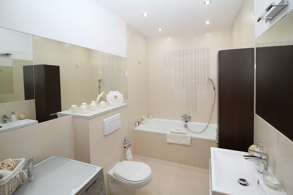 Top Reasons Why You Should Invest in a Toilet
