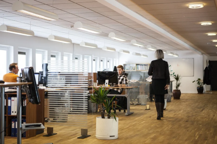 An Overview of Setting Up an LLC